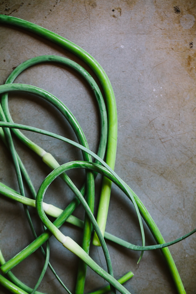 Garlic Scape Kale Pesto