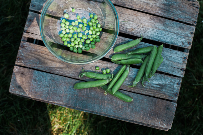 Farro Salad with Fava Beans and English Peas